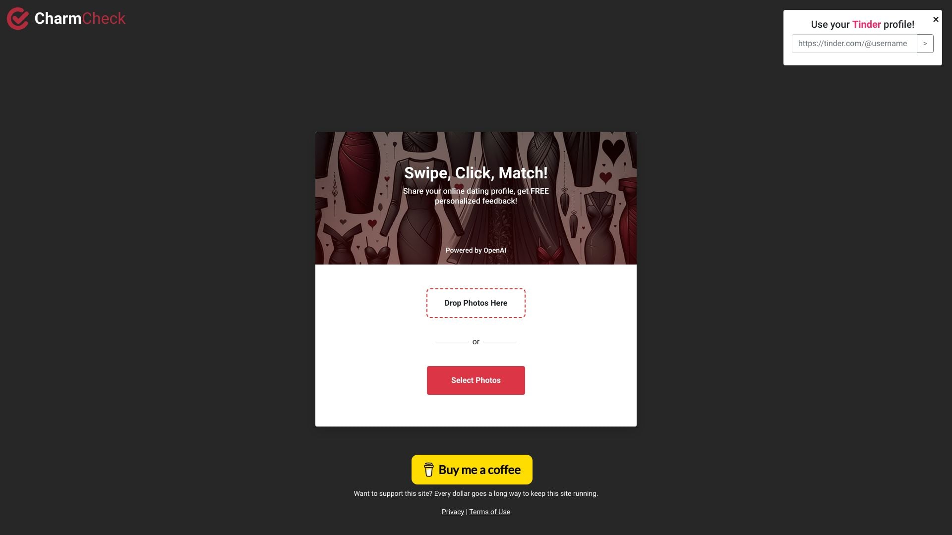 Charm Check - AI-powered dating profile critique for better matches. homepage screenshot